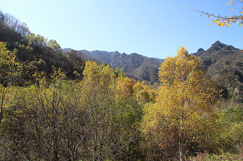 秦岭 053_副本.jpg