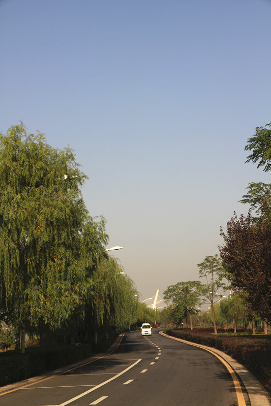 秦岭 051_副本.jpg