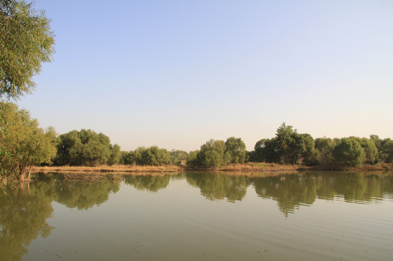 秦岭 059_副本.jpg