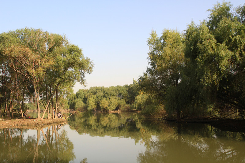 秦岭 062_副本.jpg