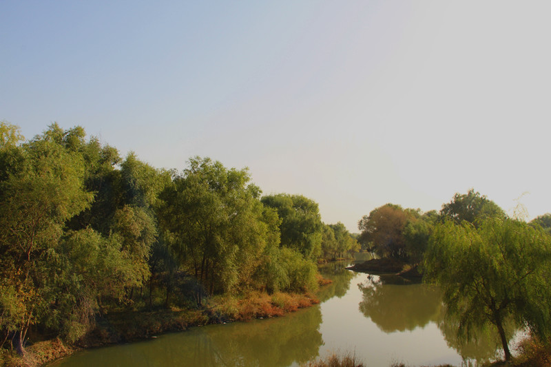 秦岭 071_副本.jpg