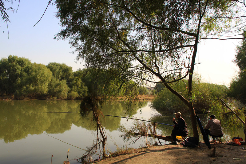 秦岭 073_副本.jpg