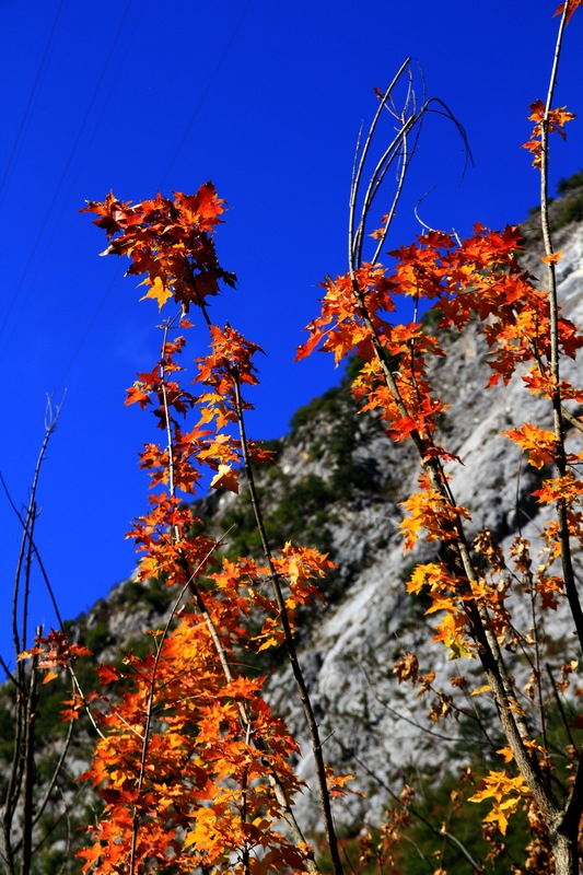九寨，黄龙风光 061.jpg