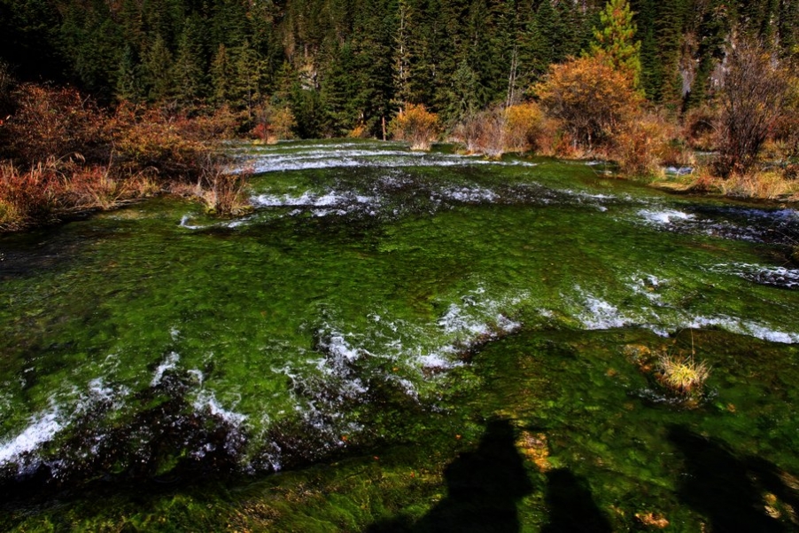 九寨，黄龙风光 175.jpg