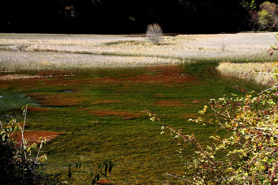 九寨，黄龙风光 075.jpg