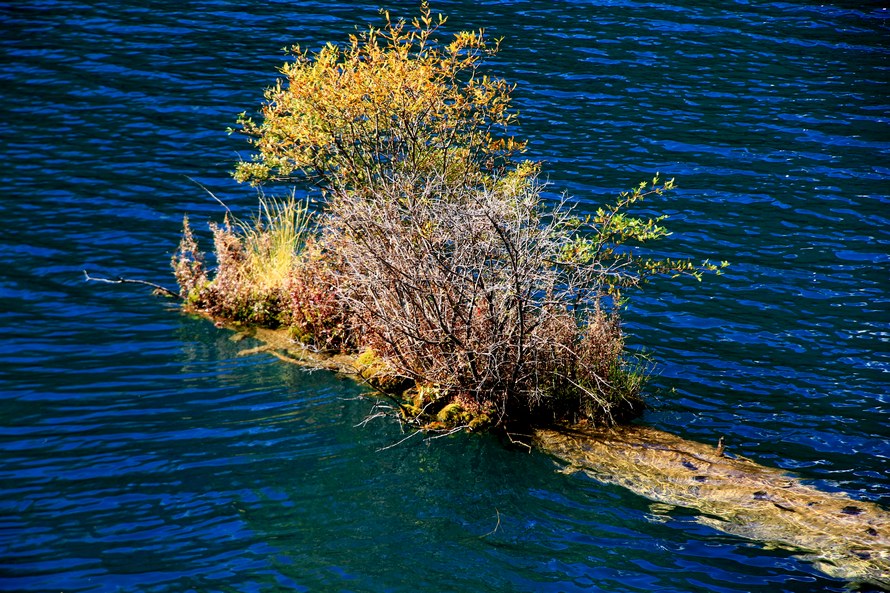 九寨，黄龙风光 090.jpg