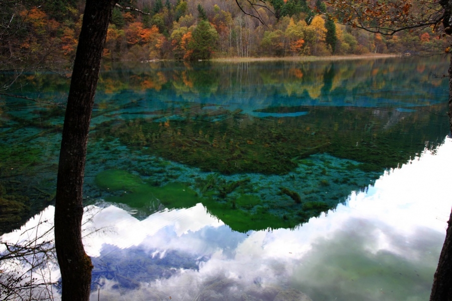 九寨，黄龙风光 159.jpg