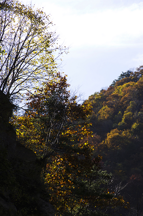 IMGP9351.jpg