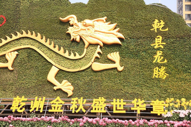 秋菊 104_副本.jpg