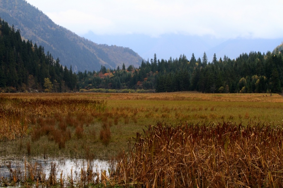九寨，黄龙风光 248.jpg