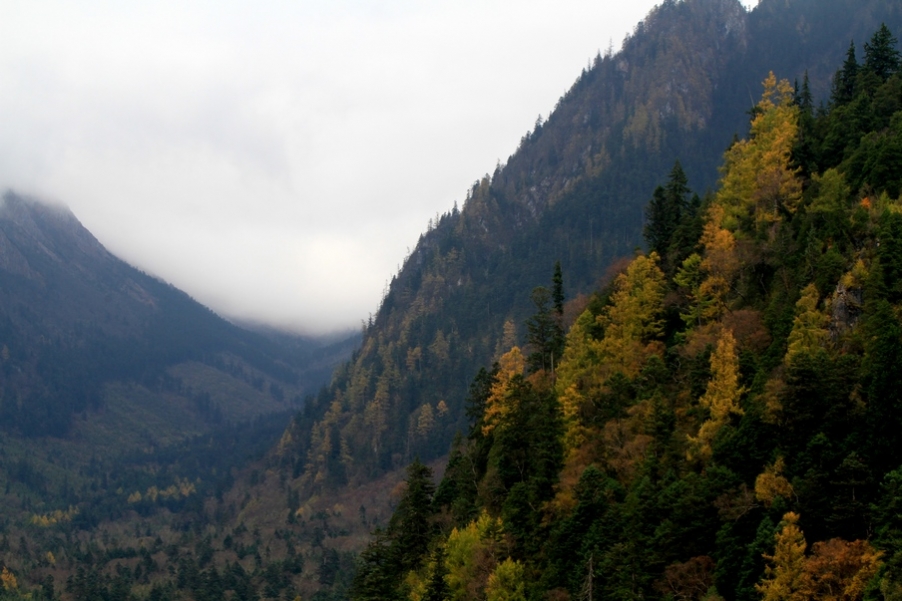 九寨，黄龙风光 250.jpg