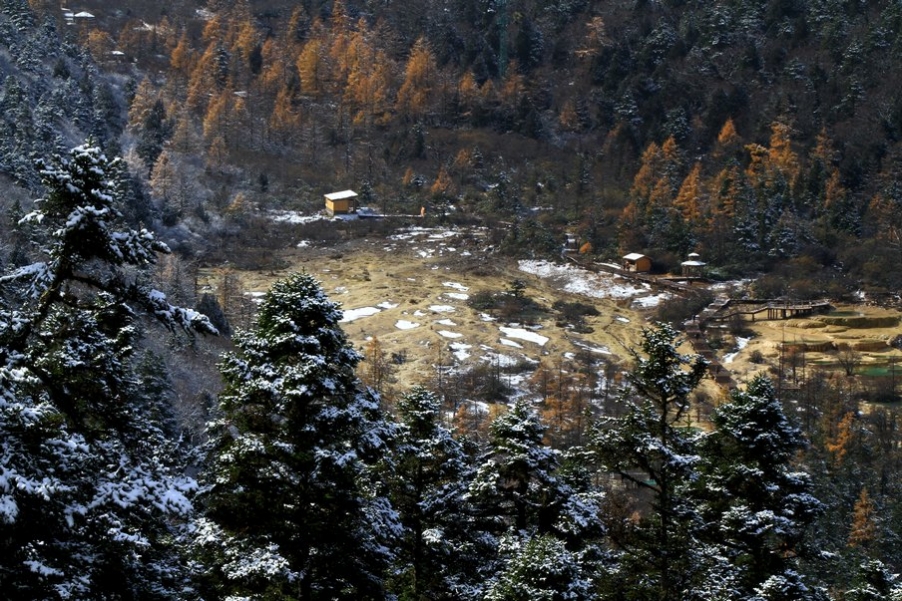 九寨，黄龙风光 499.jpg