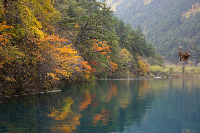 DSC01307_副本.jpg