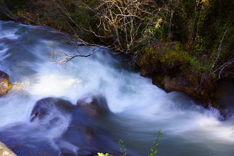 DSC01040_副本.jpg