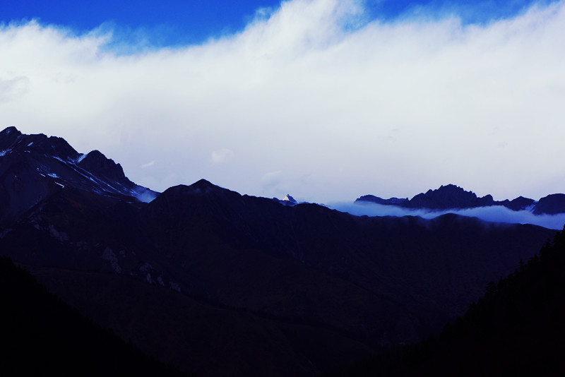 DSC01086_副本.jpg
