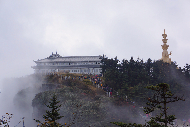 DSC02517_副本.jpg