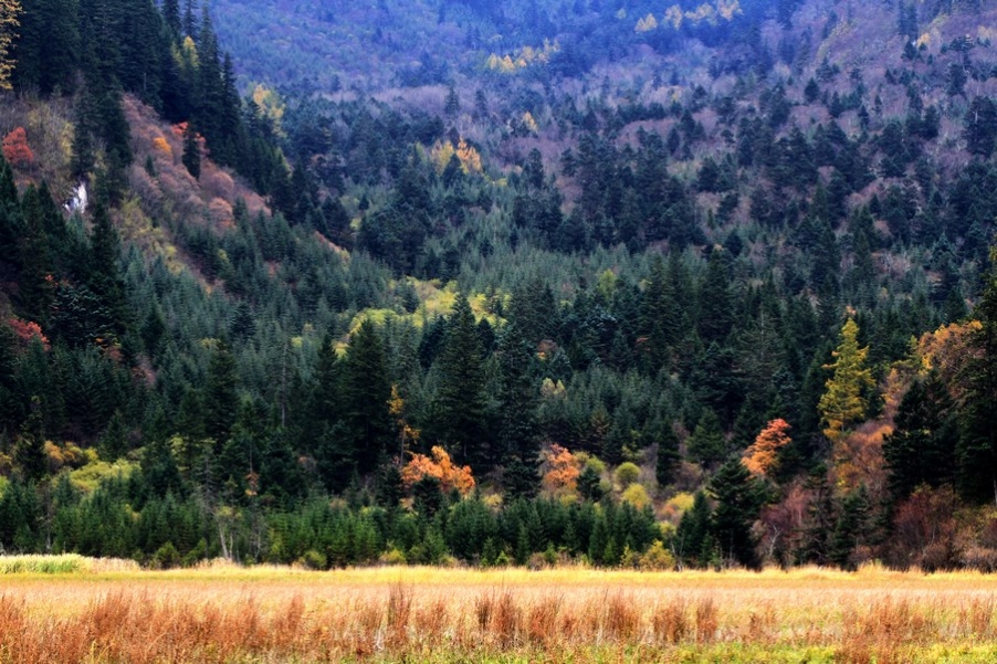 九寨，黄龙风光 262.jpg