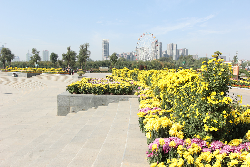 照片 104.jpg