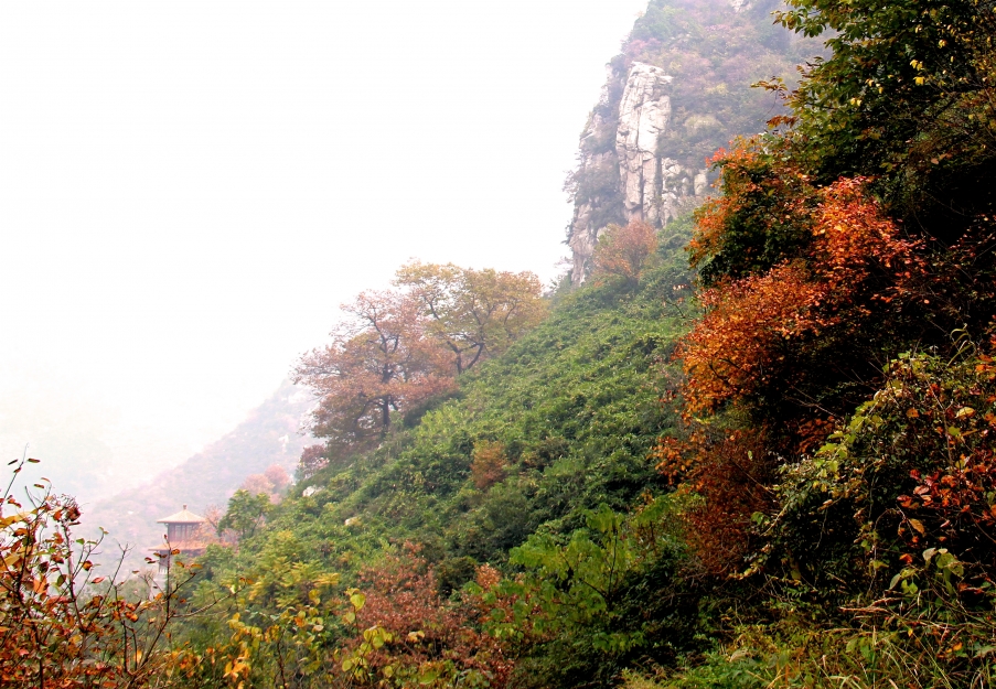 一叶知秋 122.JPG