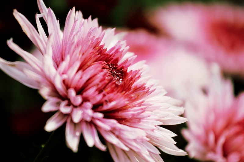 调整大小 _MG_7692@.JPG