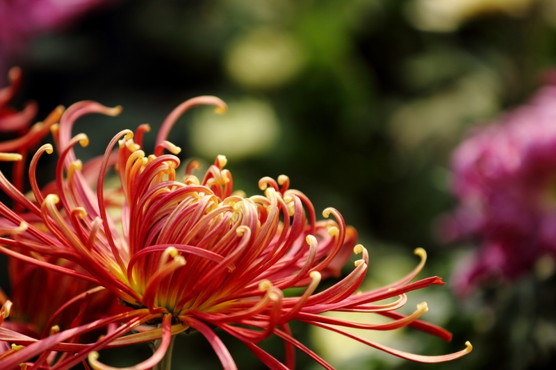 调整大小 _MG_7711@.JPG