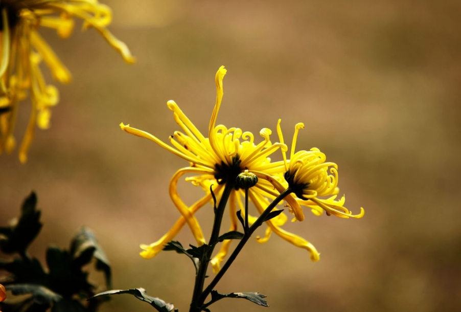 _MG_5063.jpg