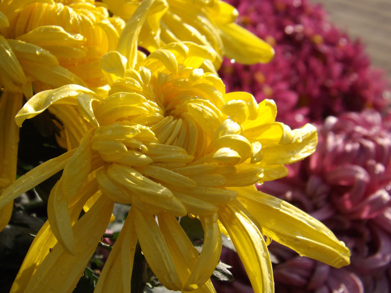 照片 013_副本.jpg