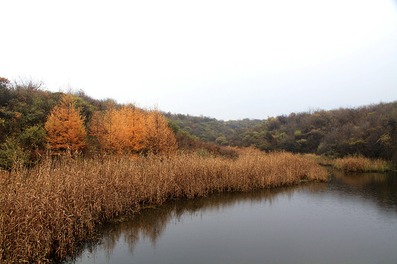 黄柏塬 035_副本.jpg