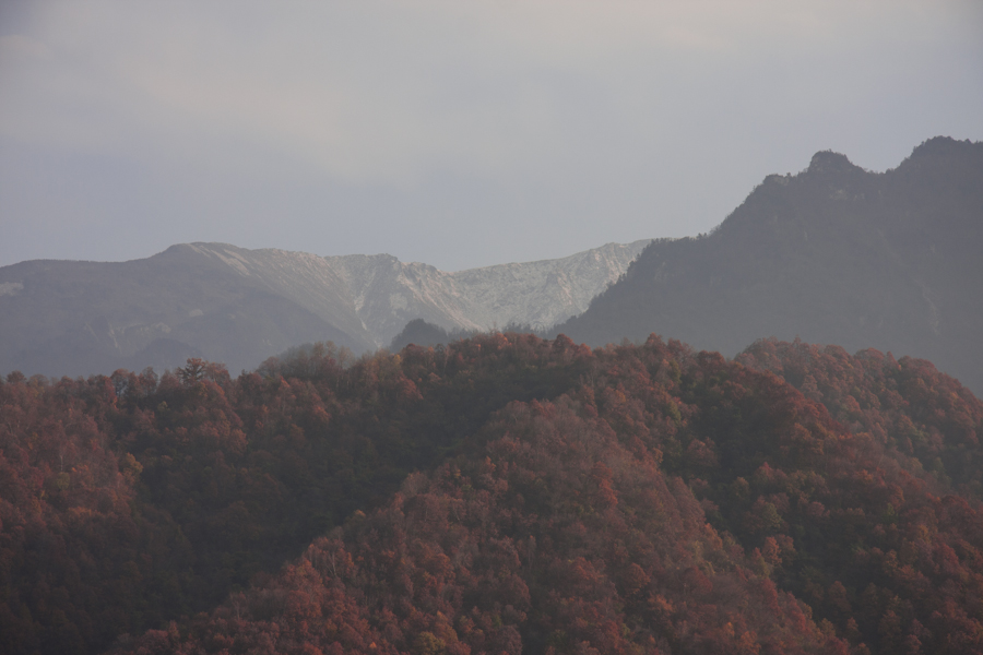 长焦下的红叶和积雪
