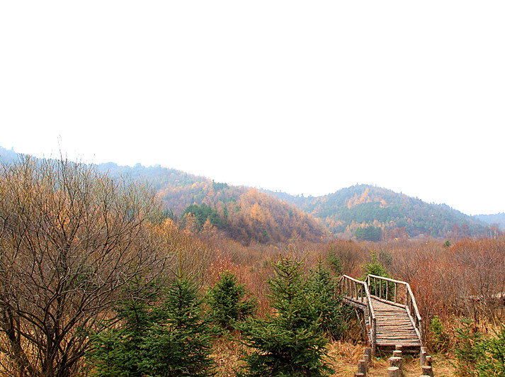 黄柏塬 053_副本.jpg