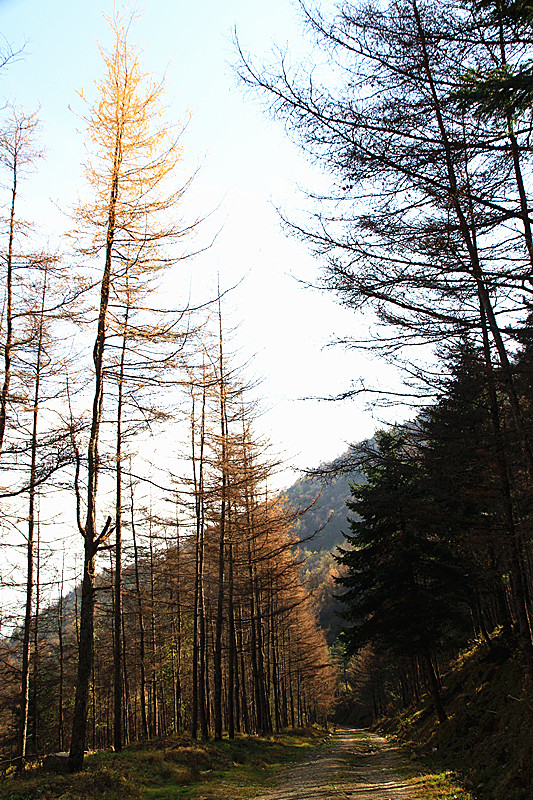 黄柏塬 154_副本.jpg