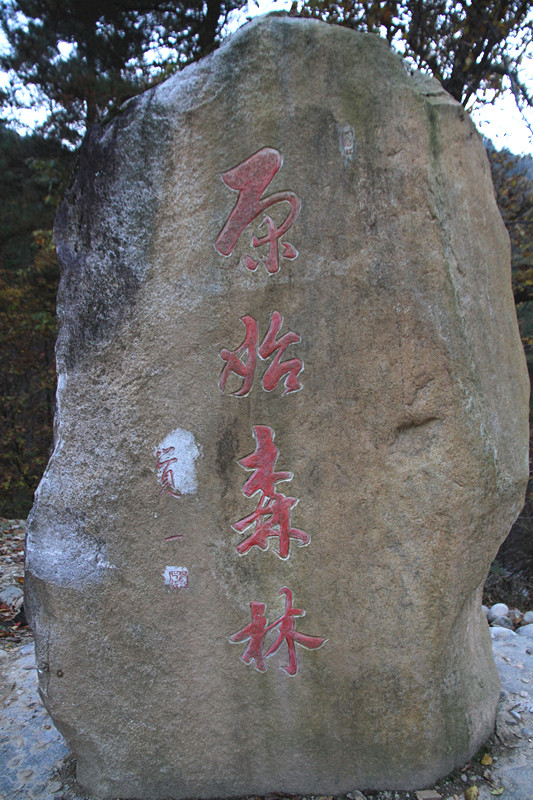 黄柏塬 206_副本.jpg