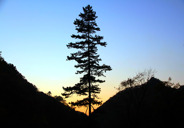 黄柏塬 210_副本.jpg