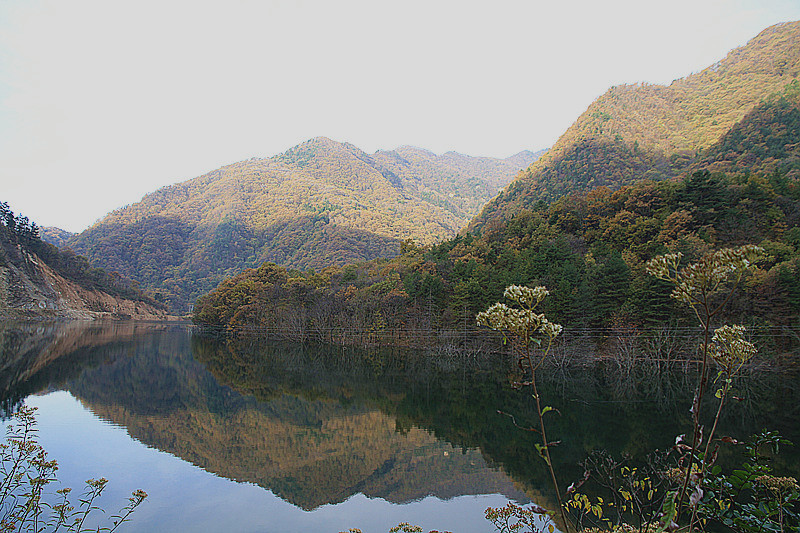 黄柏塬 232_副本_副本.jpg