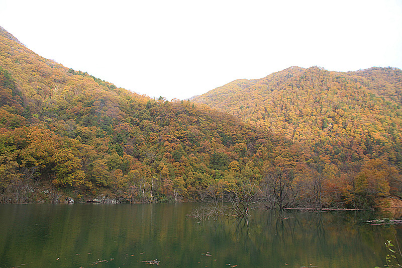 黄柏塬 239_副本.jpg