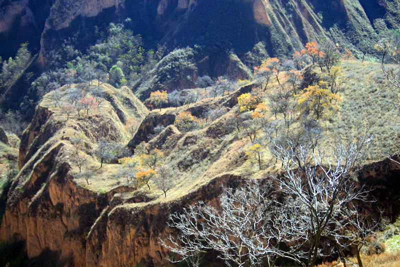 照片 059_副本.jpg