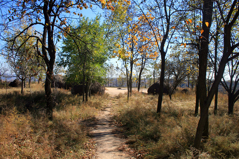 照片 054_副本.jpg