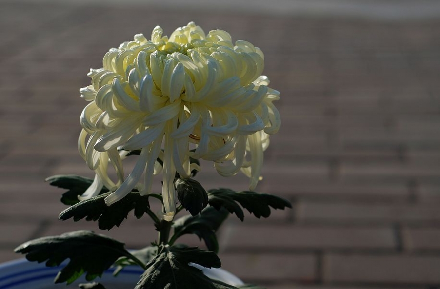 DSC_0048.JPG