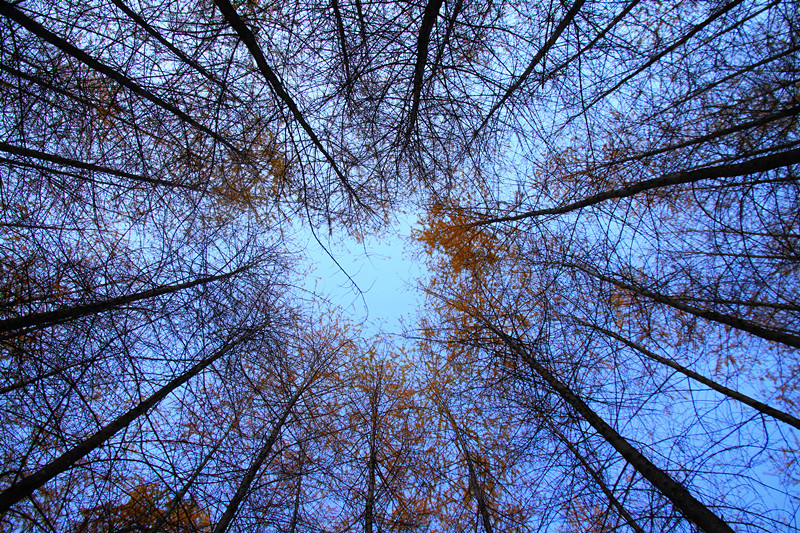 黄柏塬 393_副本.jpg