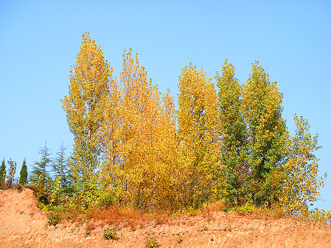 DSC09183_副本.jpg