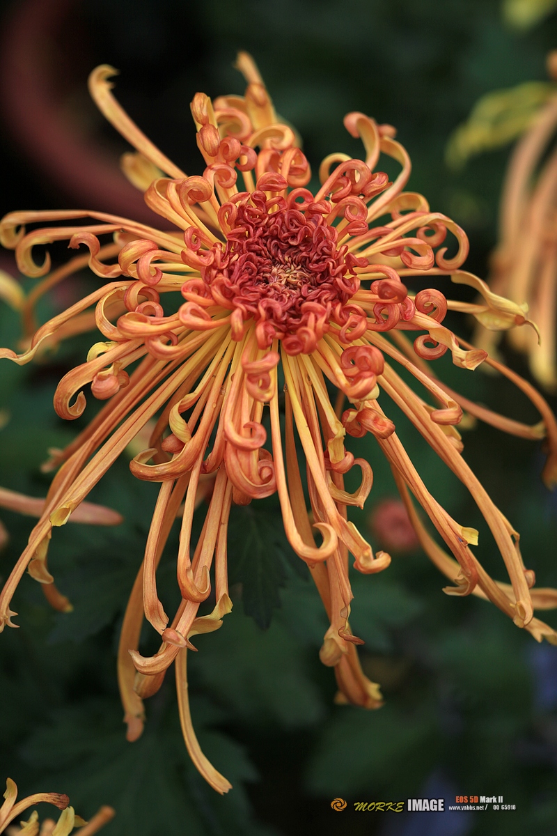 IMG_4532a - 副本.jpg