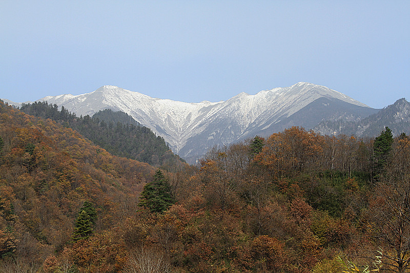 黄柏塬 496_副本1.jpg