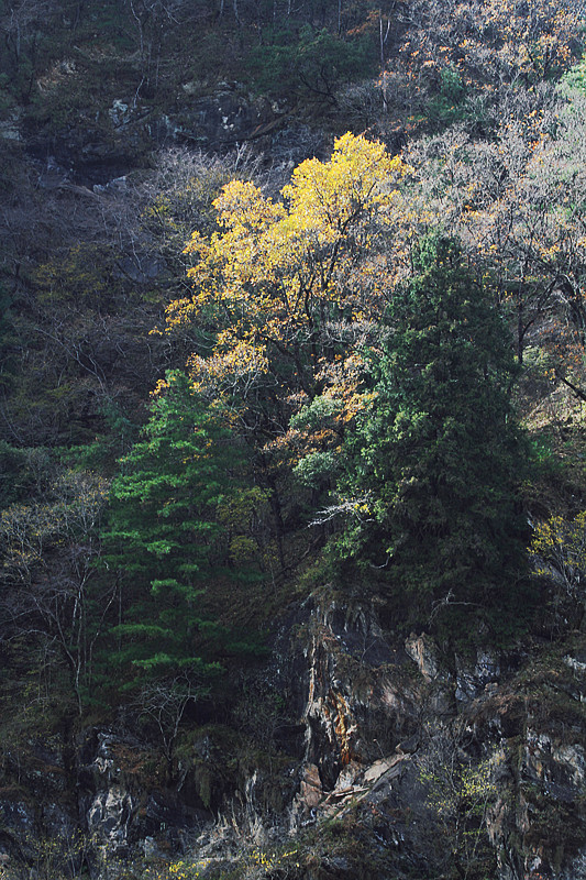 黄柏塬 503_副本.jpg