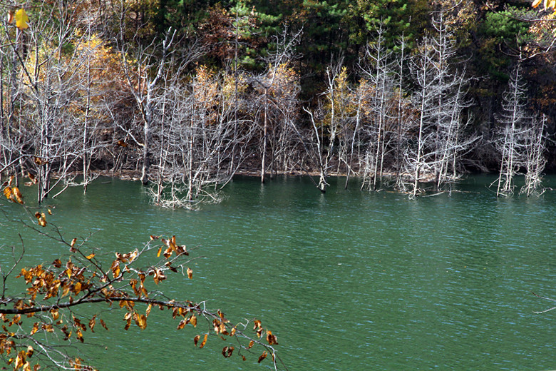 黄柏塬 504_副本.jpg