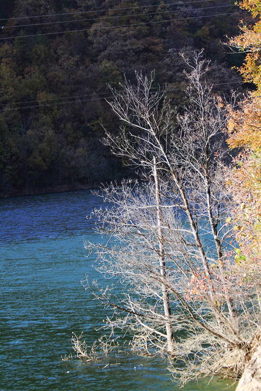 黄柏塬 535_副本.jpg