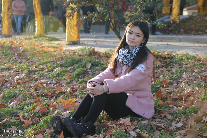 正可谓落红不是无情物，化作春泥更护花。