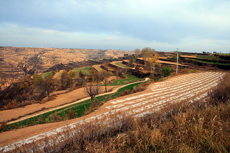 照片 063_副本.jpg