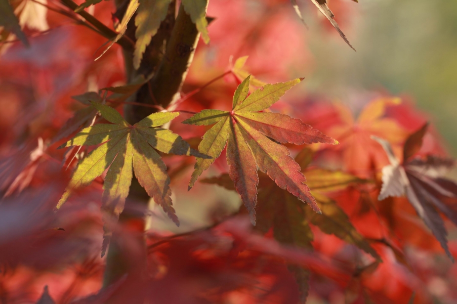 调整大小 IMG_1023.jpg