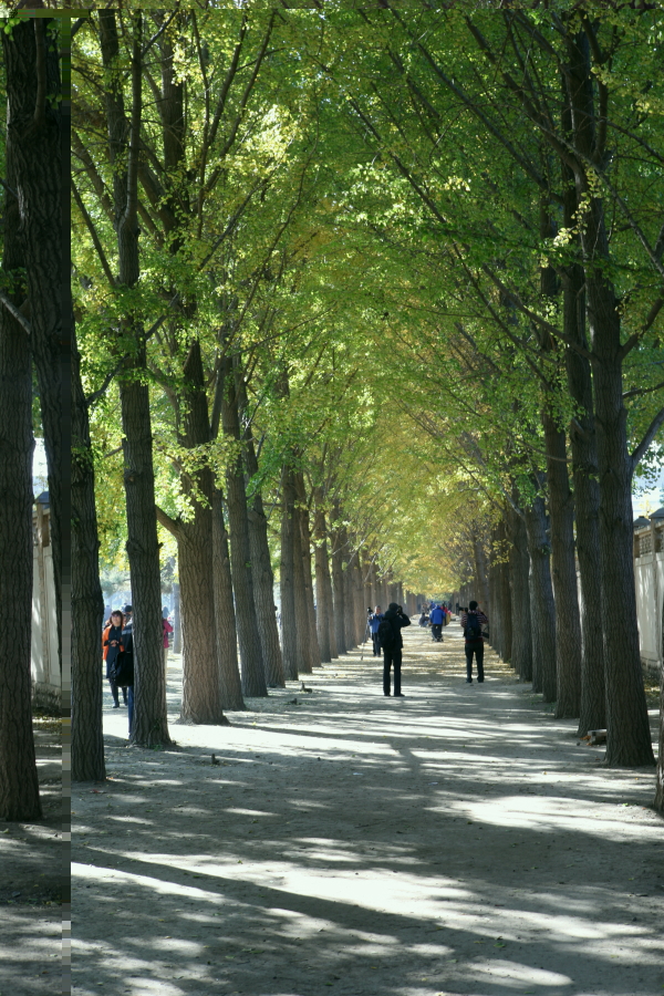 京街1.JPG