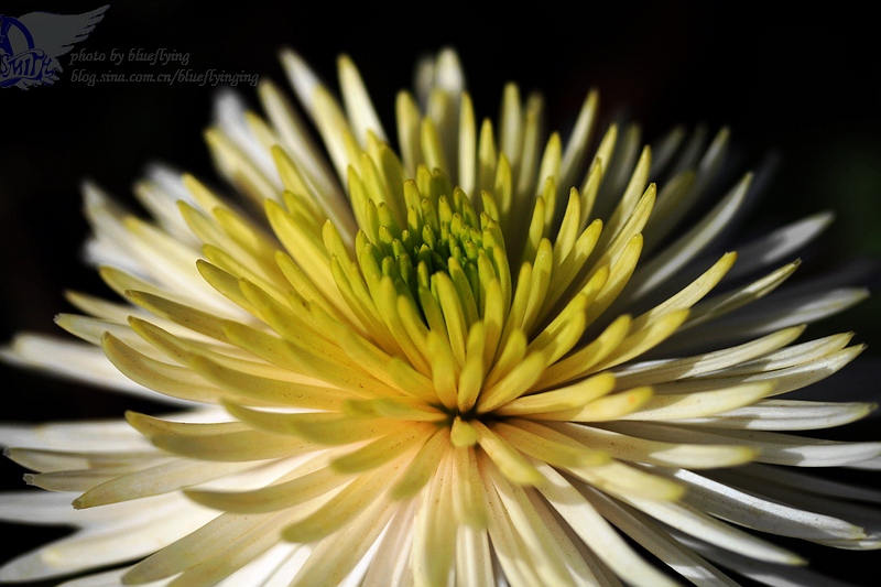 Nov03th 06 400D摄.JPG